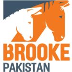 Brooke Company Pakistan